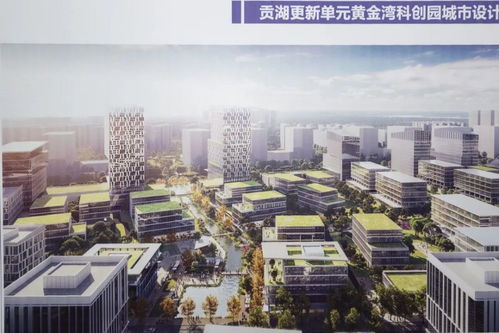 杜小刚专题调研城市更新和房屋征收工作