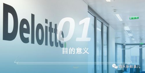 德勤 关于强化上市公司及拟上市企业内部控制建设 推进内部控制评价和审计的通知 要点解读